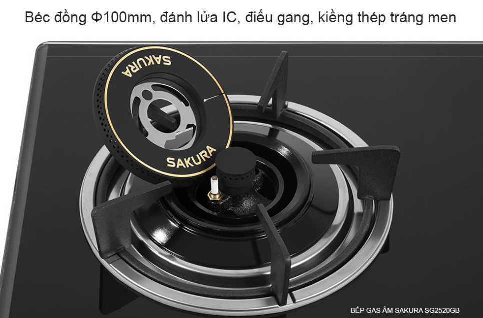 BEPAM-SA2520GB1.png